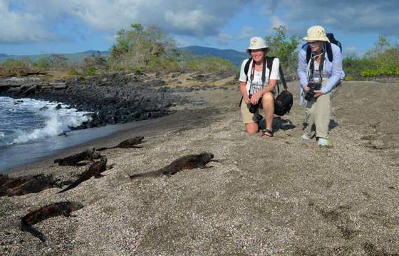  Galapagos