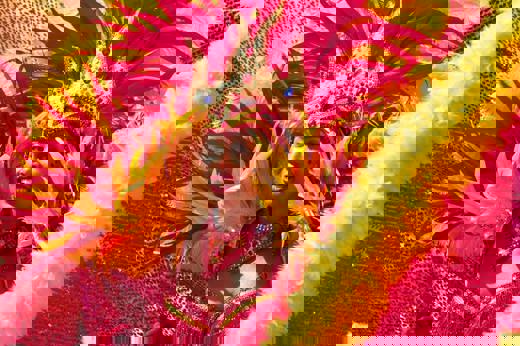 Carnival Rio 
