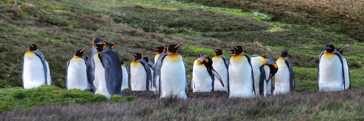 Croisiere Antarctique