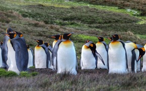 Croisiere Antarctique