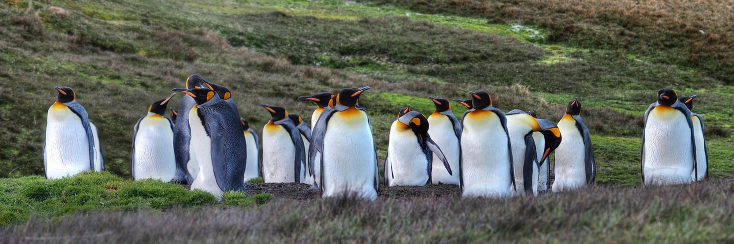 Croisiere Antarctique