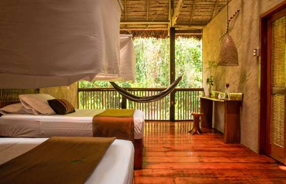 Your room in the rainforest 