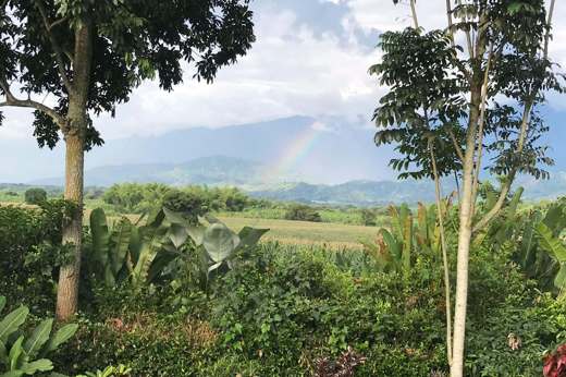 Coffee Region