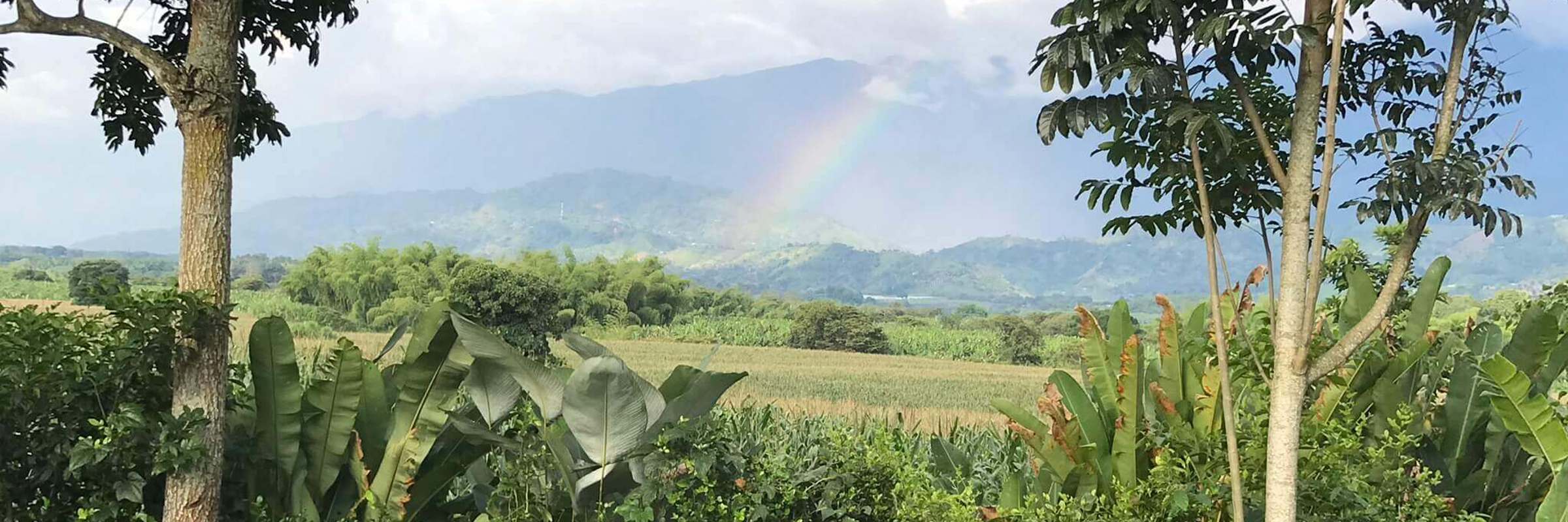 Coffee Region