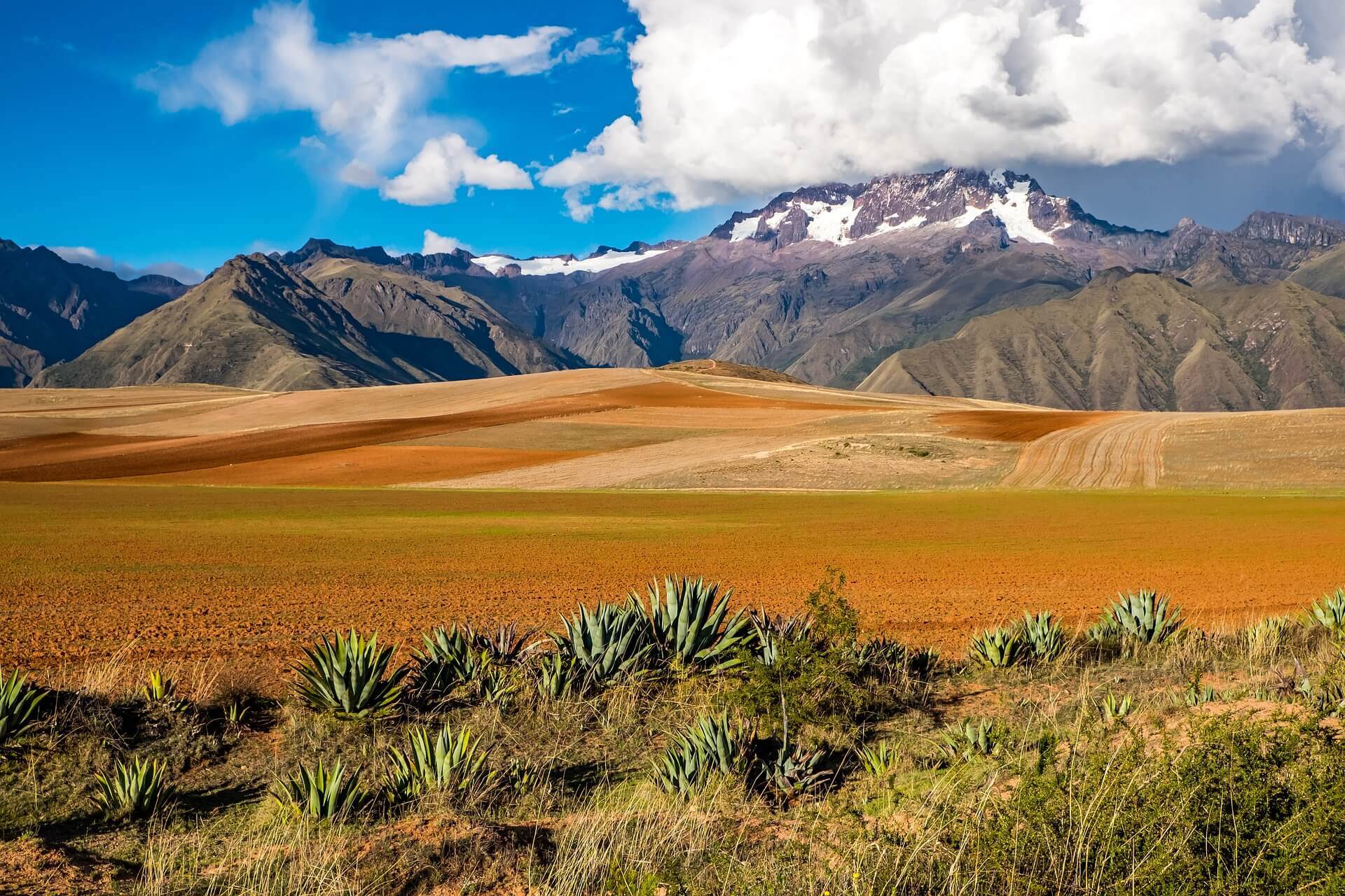 Bolivian Landscape
