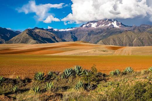 Bolivian Landscape