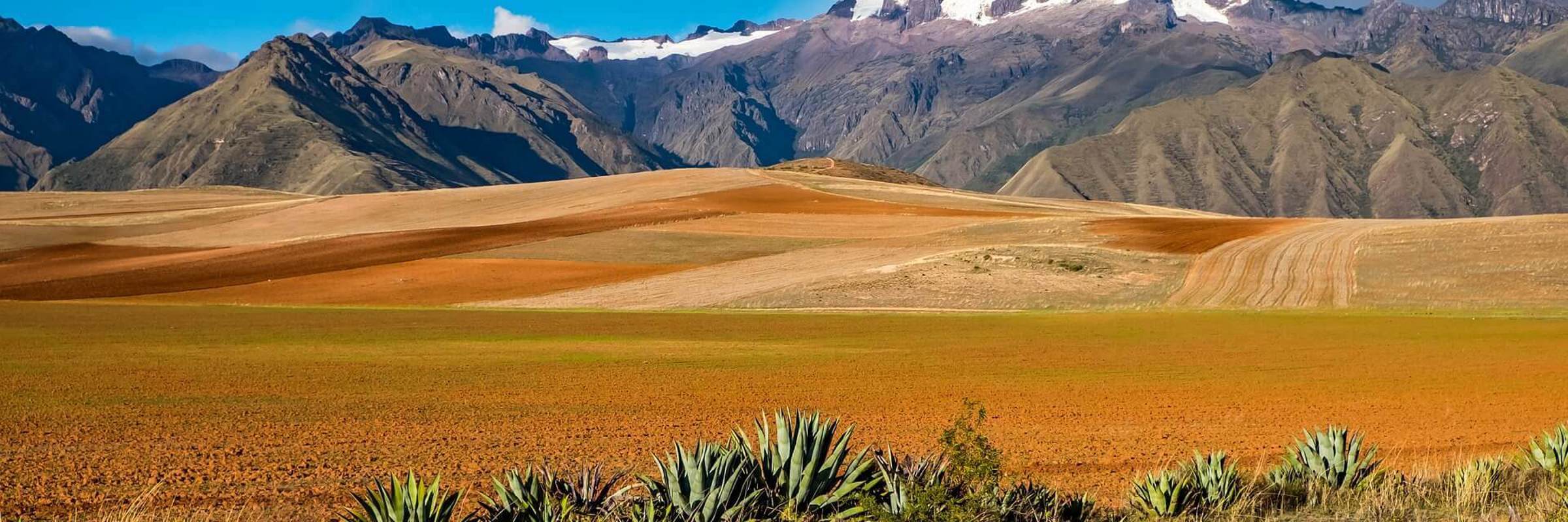 Bolivian Landscape