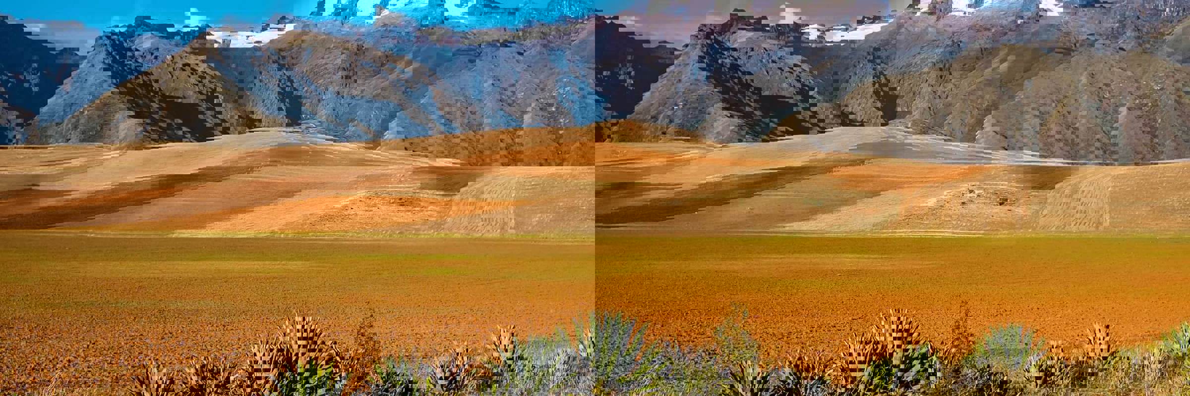 Bolivian Landscape