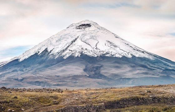 Cotopaxi 