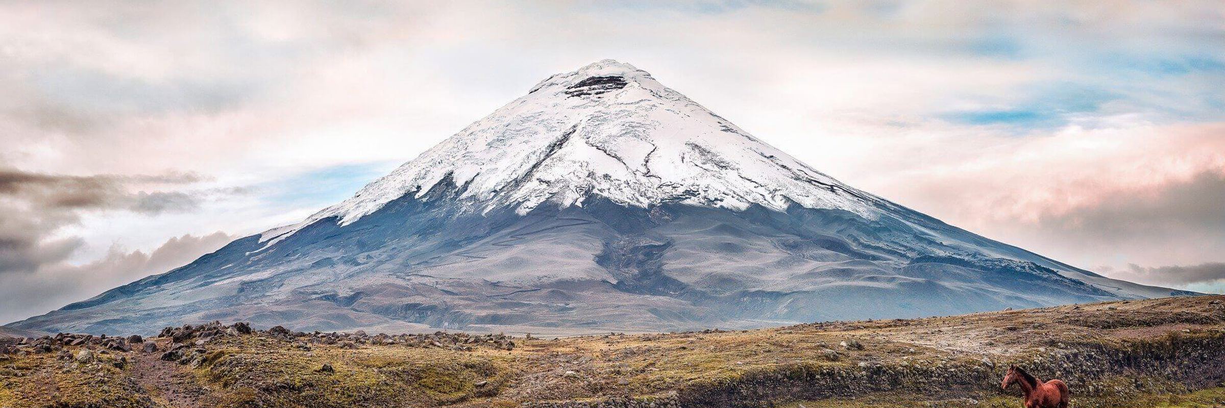 Cotopaxi 