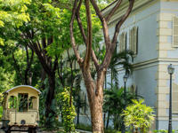 Hotel Del Parque