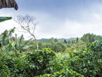 Matagalpa