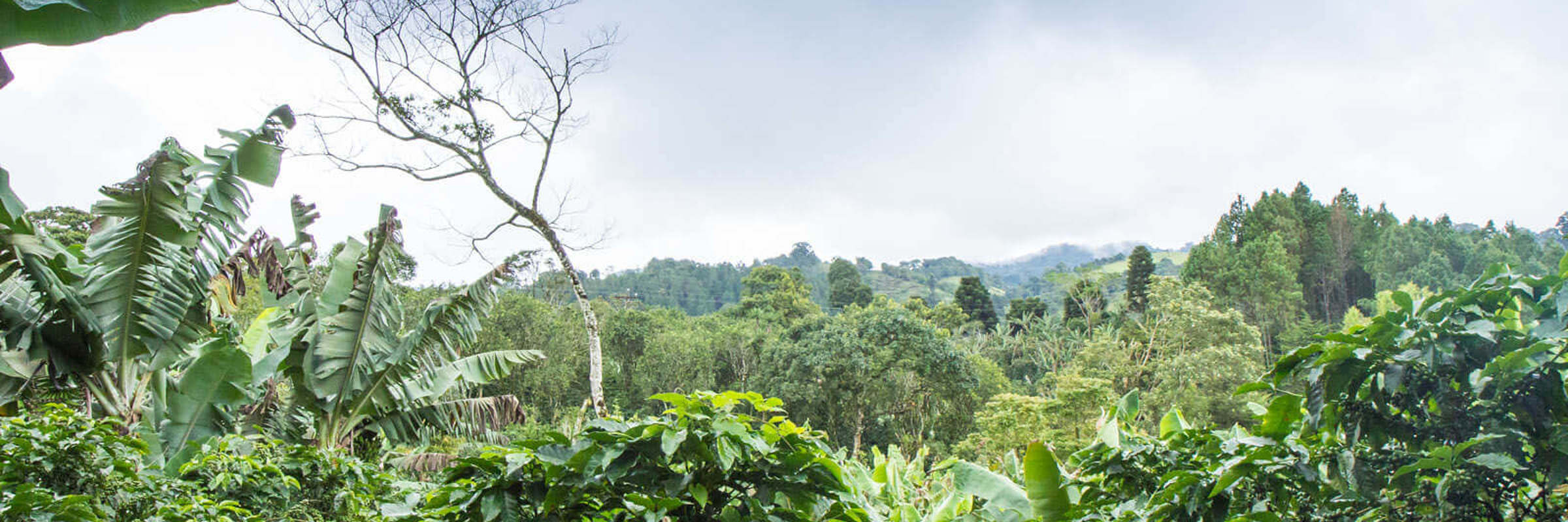 Matagalpa