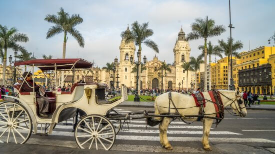 Horse-drawn carriage in Lima's Plaza de Armas with the cathedral and palm trees in view. 