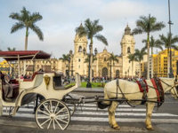 Horse-drawn carriage in Lima's Plaza de Armas with the cathedral and palm trees in view. 