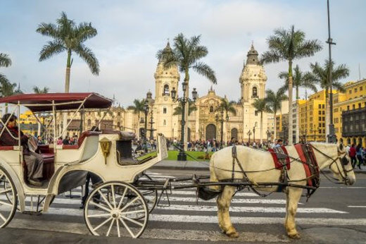 Horse-drawn carriage in Lima's Plaza de Armas with the cathedral and palm trees in view. 