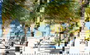 Relaxing hammock between palm trees on a white sandy Riviera Maya beach with lounge chairs and Caribbean Sea views.