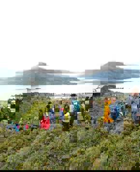 Travellers hiking through lush Tierra del Fuego with views of fjords and forested hills in the distance. 
