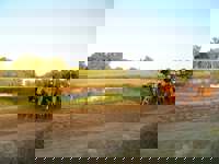 Pampa 