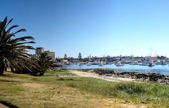 Punta Del Este Port