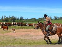 Estancia Gaucho