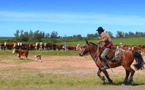 Estancia Gaucho