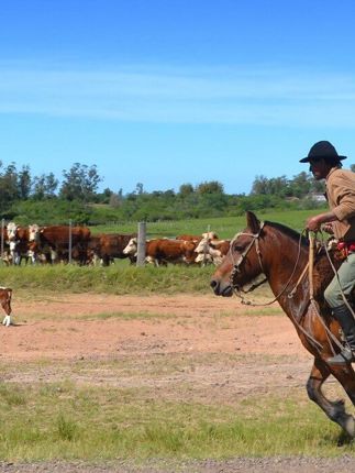Estancia Gaucho