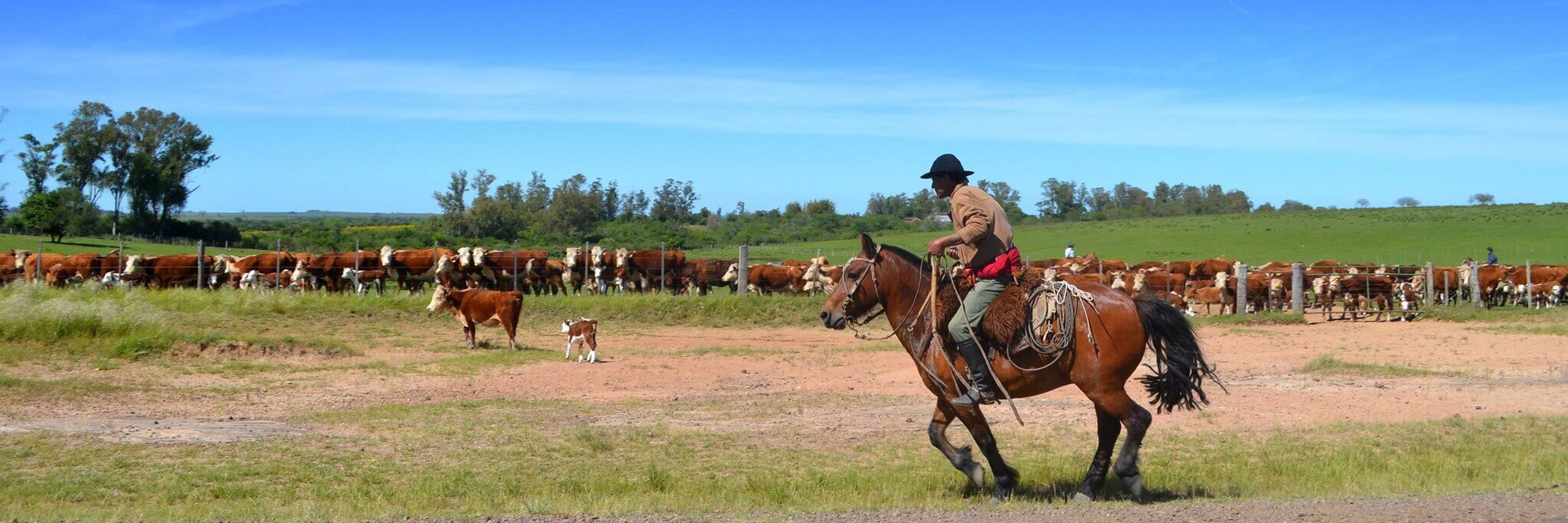 Estancia Gaucho