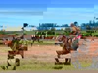 Estancia Gaucho