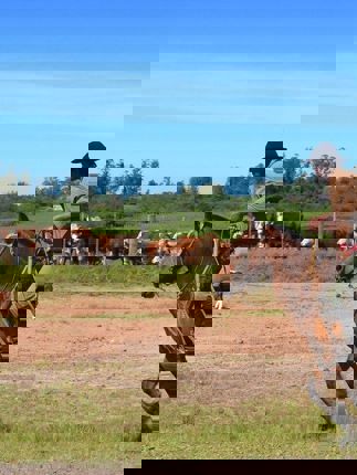 Estancia Gaucho