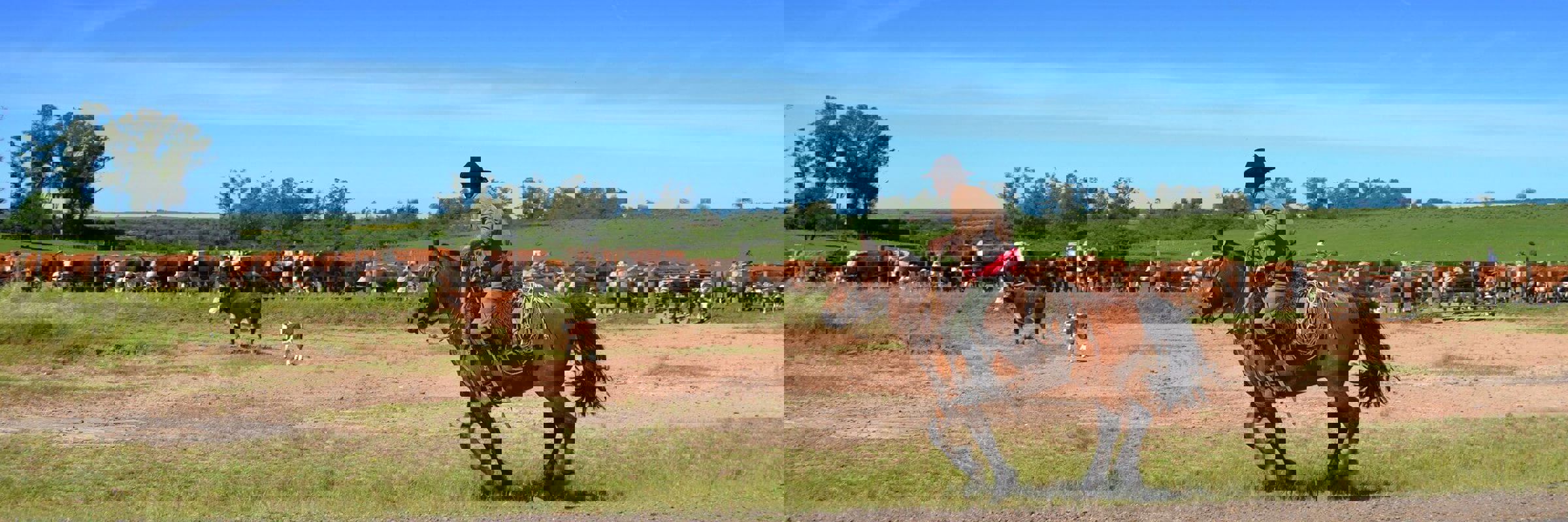 Estancia Gaucho