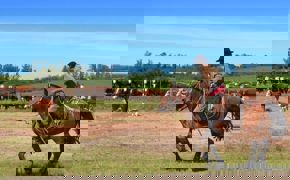 Estancia Gaucho