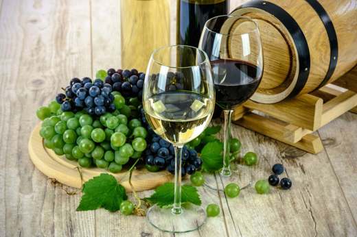 Wine Uruguay