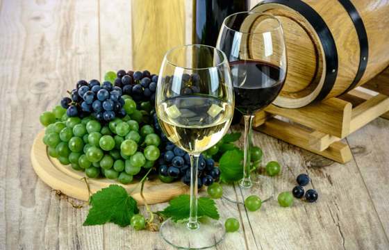 Wine Uruguay