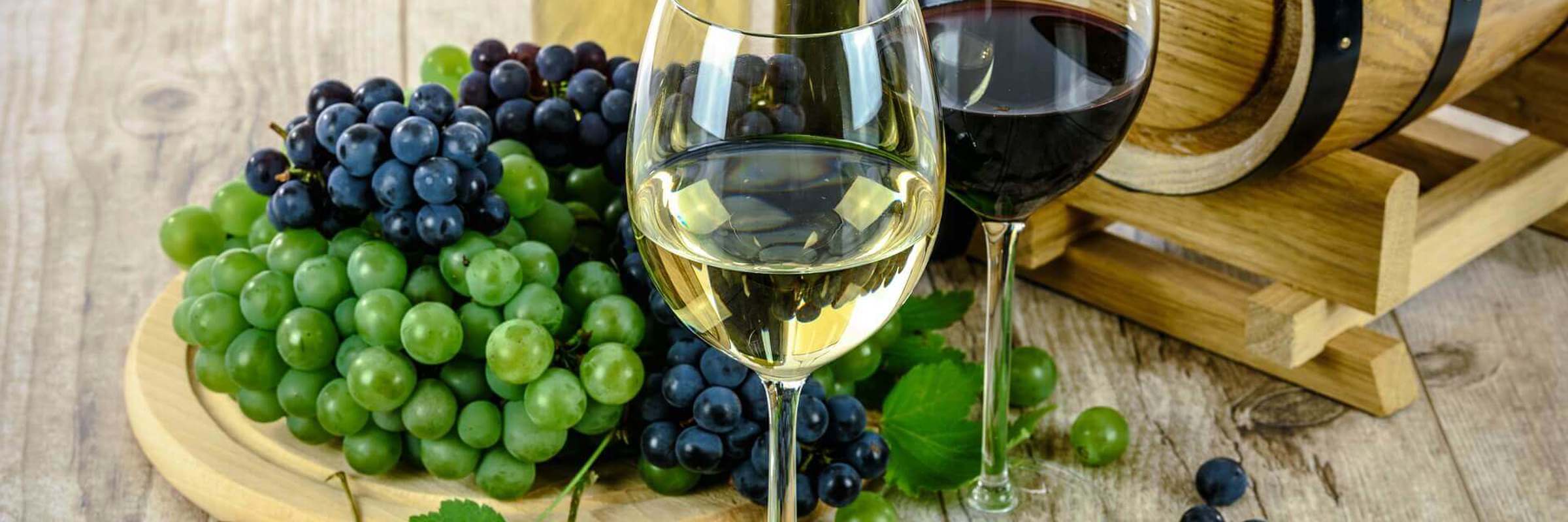 Wine Uruguay