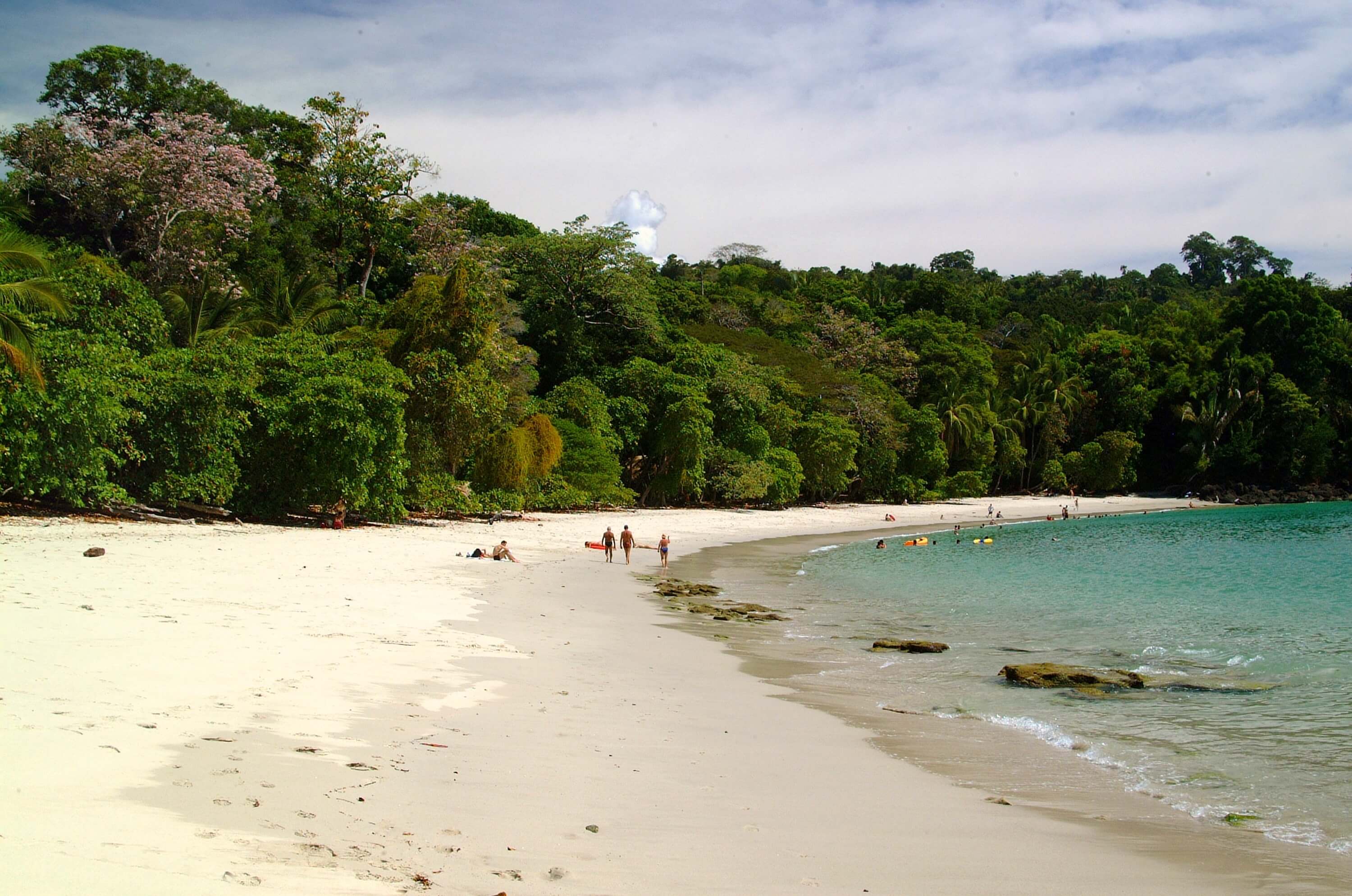 White sandy beach backed by lush rainforest in Manuel Antonio National Park, with people walking along the the shore and calm turquoise waters. 