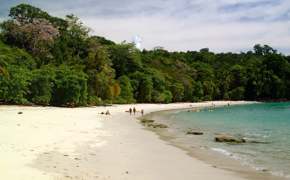White sandy beach backed by lush rainforest in Manuel Antonio National Park, with people walking along the the shore and calm turquoise waters. 