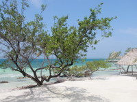 Belize 2015 IMG 2227