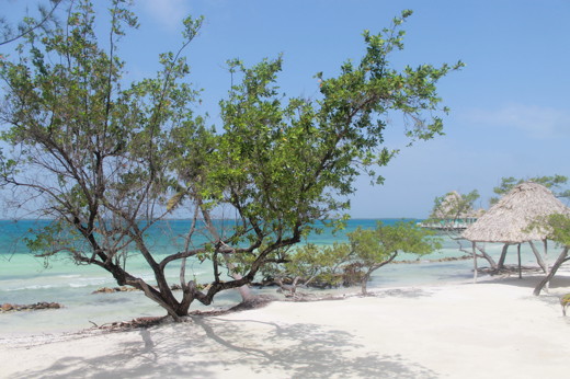 Belize 2015 IMG 2227