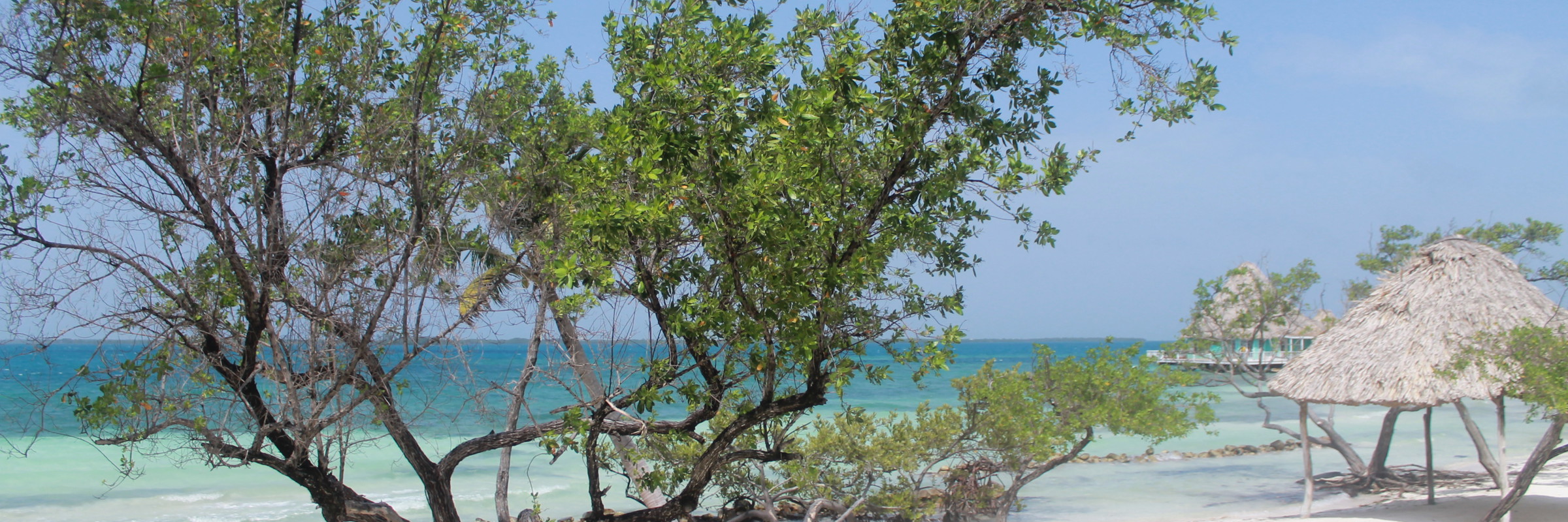 Belize 2015 IMG 2227