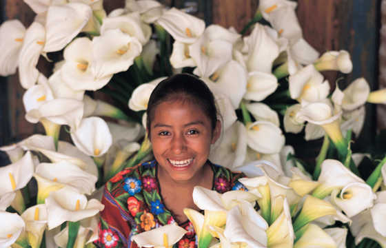 Colorful Guatemalan market scene with bundles of white calla lillies on display.