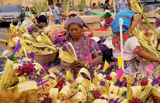 Riot of colours - Weavings and Flowers