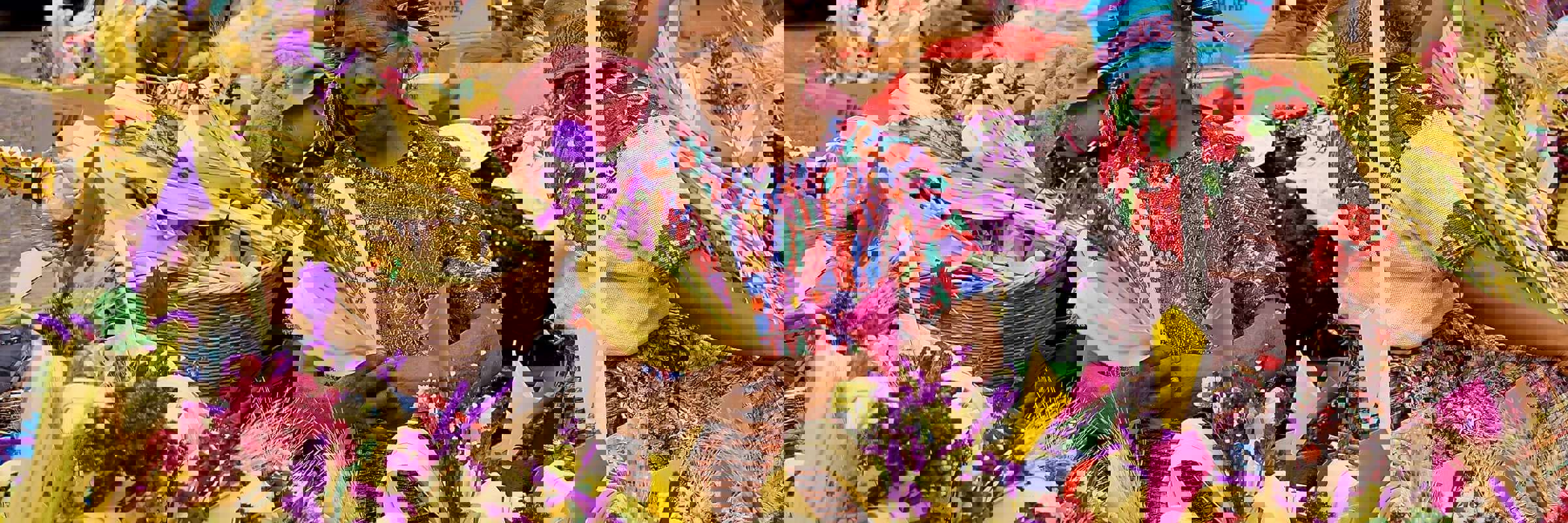 Riot of colours - Weavings and Flowers