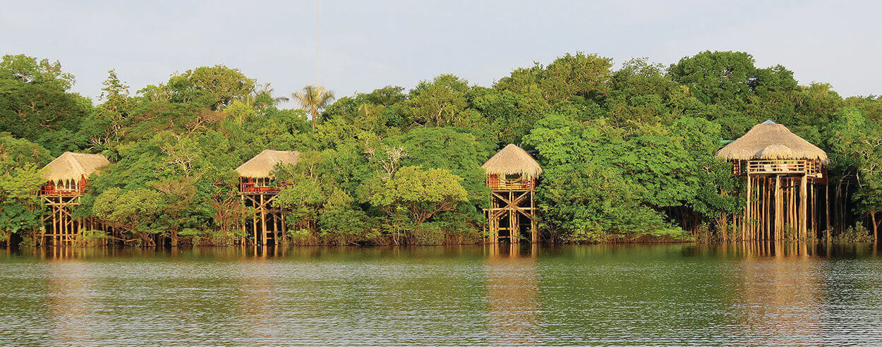 Rustic stilt lodges nestled along the water's edge in the Amazon rainforest, surrounded by lush green jungle. 