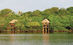 Rustic stilt lodges nestled along the water's edge in the Amazon rainforest, surrounded by lush green jungle. 