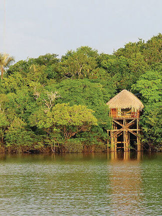 Rustic stilt lodges nestled along the water's edge in the Amazon rainforest, surrounded by lush green jungle. 