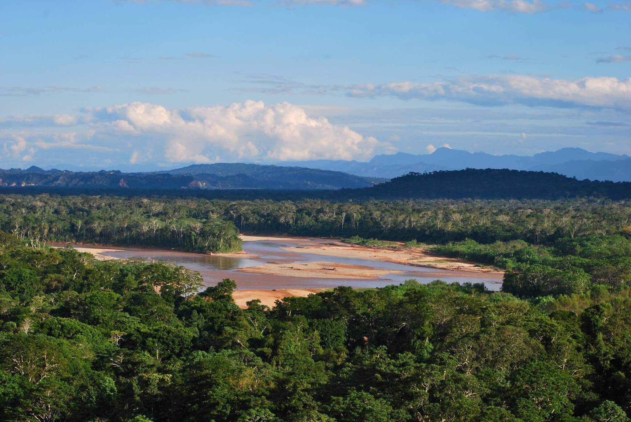 Madidi