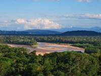 Madidi