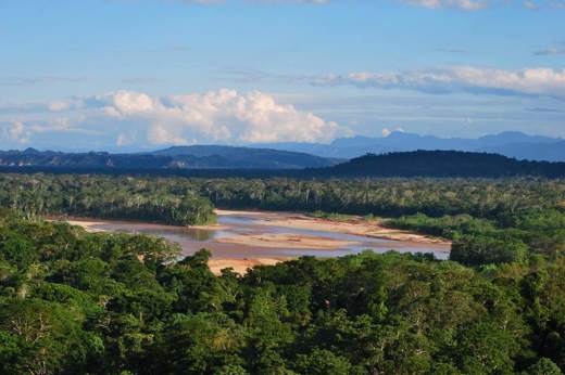 Madidi