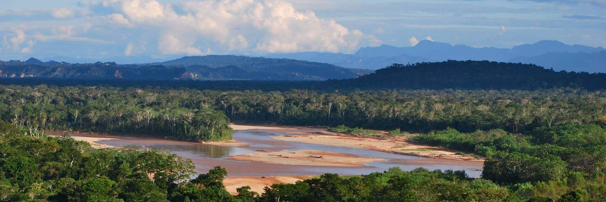 Madidi